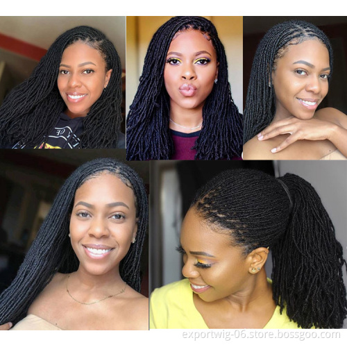 Micro Locs Sister Locs Synthetic Crochet Hair Extension Jumbo Braids Dreadlock Extensions Curly Braid Hair